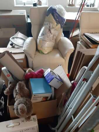 Wohnzimmer mit Umzugskartons, Sessel, Haushaltswaren und Kuscheltieren beim Umzug.